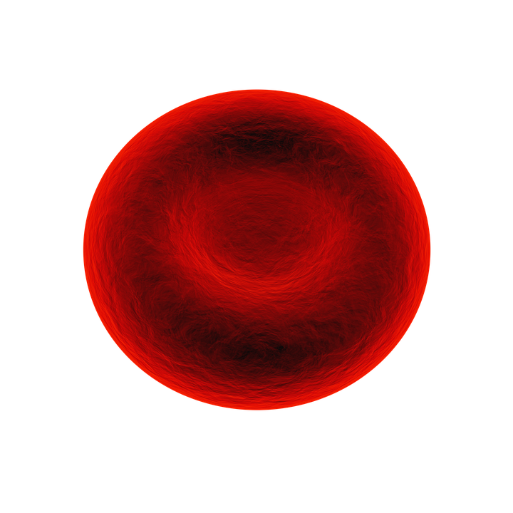 anemia falciforme, globulo rosso
