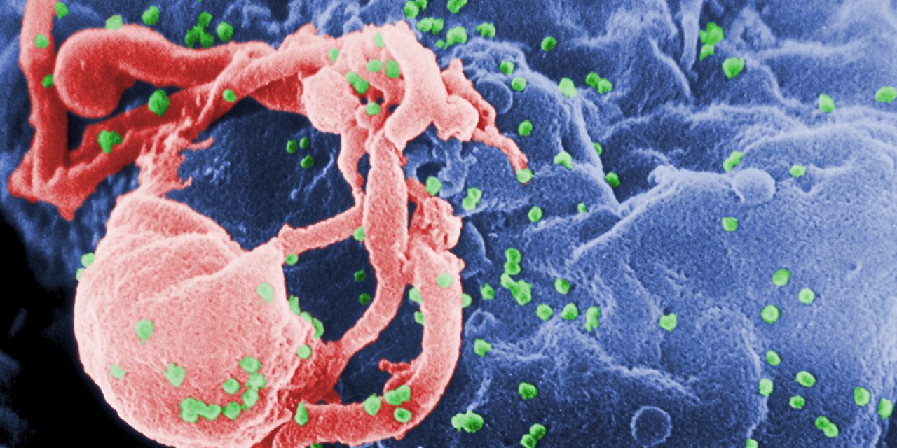 RISCRITTA LA STORIA DELL’EPIDEMIA DI AIDS